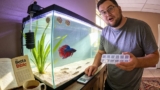 How Long Can a Betta Fish Really Go Without Food? What Not To Do With Your Betta While on Vacation