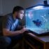 Rope Fish: Secrets to Thriving Aquariums