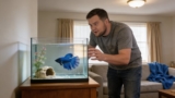 7 Reasons Your Betta Fish Is Shedding/Molting (And What To Do)