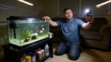 Mouth Fungus in Betta Fish: Complete Guide