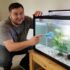 Dwarf Pea Puffer Care: Essential Tips