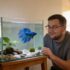 How Long Can A Betta Fish Go Without Food? (Vet Approved)