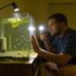 Ghost Shrimp Secrets: Care, Breeding, and Tank Harmony