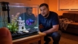 Do Betta Fish Get Depressed? (How To Make Your Betta Fish Happy)