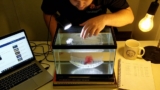 Betta Lifespan Revealed: Care Secrets Unveiled