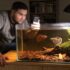 What Do Betta Fish Like In Their Tanks?