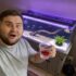 Archerfish Care Guide: Brackish Tank Setup & Paludarium Tips