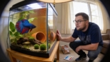 Ultimate Betta Fish Care Guide: Setup, Diet, and Health Tips for Thriving Bettas