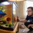 Enhancing Your Angelfish Habitat: A Guide to the Best Live Plants for Your Aquarium