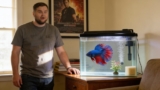 How To Set Up a Betta Tank: A Step-by-Step Guide