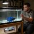 Nano Tank Wonders: Tiny Freshwater Fish Picks