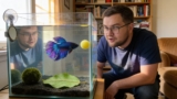 Best Betta Fish Toys To Keep Your Betta Happy!
