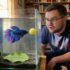 Boesemani Rainbowfish 101: Size, Diet, Tankmates & Breeding