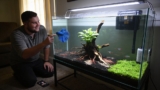 15 Gallon Fish Tank Suggestions For Bettas