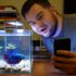 Crayfish Menu Revealed: Wild and Tank Diets