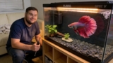 Fluval Spec 5 Gallon Review For Bettas