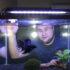 Betta Fish Not Eating: 14 Ways To Diagnose Treat Them
