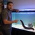Do Bettas Need Air Pumps? ( When They’re Important)
