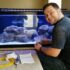 How Long Do Goldfish Live  Why Yours Are Dying