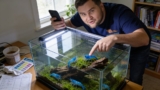 Blue Velvet Shrimp: Essential Care Secrets