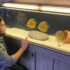 Molly Fish: Full Care Colorful Types (with Tank Setup Diet)