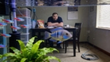 Bolivian Ram Cichlid Thrives in Community Tanks