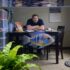 Mastering Black Orchid Betta Care: Expert Tips