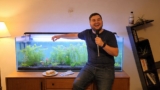 5 Aquarium Rules You Can Safely Break for Better Tanks