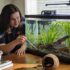 The 15 Most Colorful Freshwater Fish For Your Aquarium