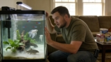 EVERY Cause Of Cloudy Aquarium Water (& Solutions)