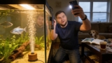 Why Oxygenation Is Vital for Your Tank And How To Do It Without Chemicals