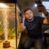 Otocinclus Catfish Care: From Setup To Breeding