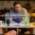 Best Driftwood For Aquariums: Top Picks for Quality, Style, and Affordability