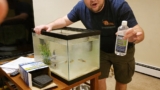 Why You Have A Cloudy Fish Tank (And How To Fix It)
