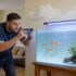 Bristle Worms In Your Saltwater Tank: Everything You Should Know