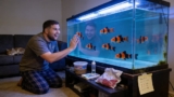 Clown Loach Care: Tank Size, Food, Lifespan, Tank Mates