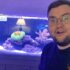 Betta Bubble Nest: Why Is My Betta Fish Blowing Bubbles?