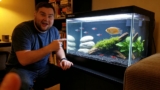 Fluval Flex 15 Gallon Review