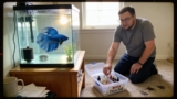 Betta First Aid Kit – Everything You Need
