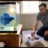 How Quickly Do Goldfish Grow? ( How To Make Them Grow Faster!)