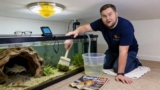 Sterbai Cory: Essential Care and Breeding Tips