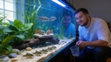 15 Types Of Corydoras With Pictures (& How To Care For Them)