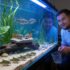 Popeye Disease In Fish: Causes, Treatment  Prevention