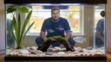 How Many Fish Can You Keep In A 20 Gallon Tank?