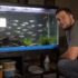 Amano Shrimp Lifespan: How Long Do They Live & Tips to Maximize It