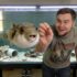 9 Reasons Guppies Die and How to Prevent It From Happening!
