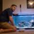 5 Signs Your Guppy Is Pregnant What To Do Next