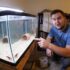 Best Tank Mates For Guppies: 15 Choices