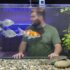 13 Types of Saltwater Starfish to Add Sparkle to Your Tank