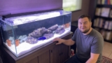 Electric Blue Hap Care: Tank Setup, Diet & Breeding Tips